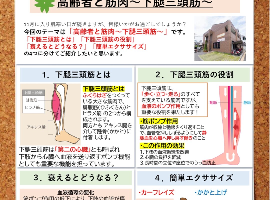 2025年11月【月刊はつらつ健康通信Vol.85】